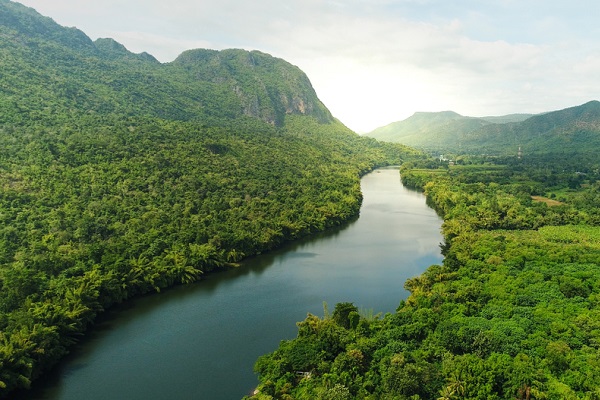 No momento, você está visualizando Meio ambiente no Enem e vestibulares: o que estudar