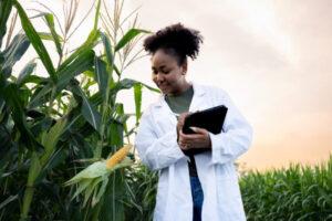 Leia mais sobre o artigo Dia do Agronômo: o curso e a profissão na prática